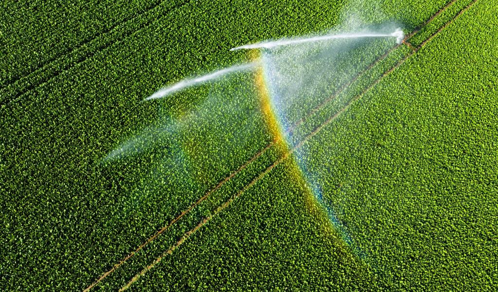 Nicht einmal fünf Prozent der landwirtschaftlichen Fläche kann bewässert werden. - Foto: Julian Stratenschulte/dpa