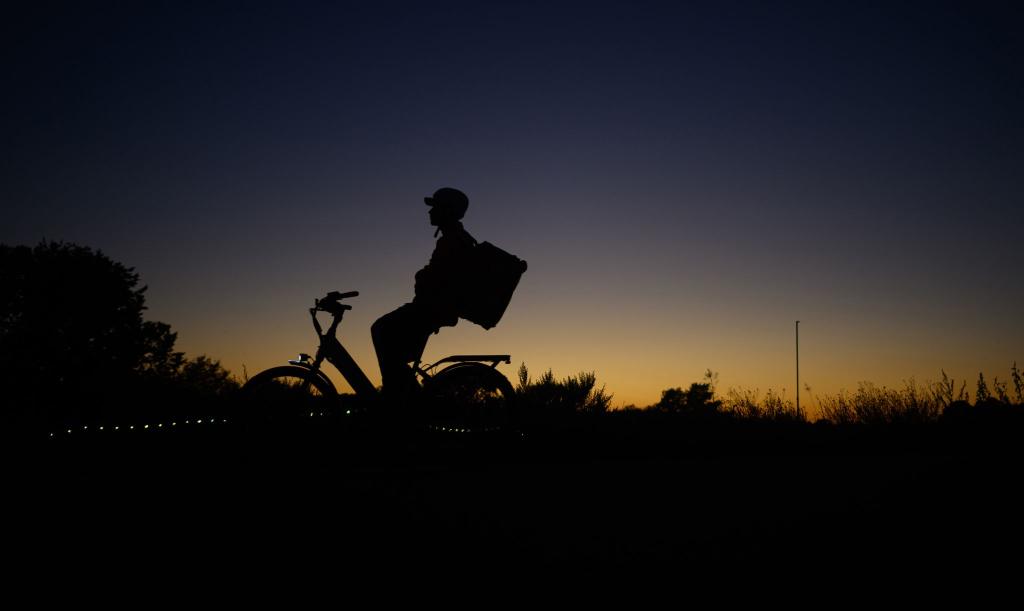 Laut einer Umfrage sind immer mehr Menschen in Deutschland mit einem Elektrofahrrad unterwegs. (Symbolbild) - Foto: Robert Michael/dpa