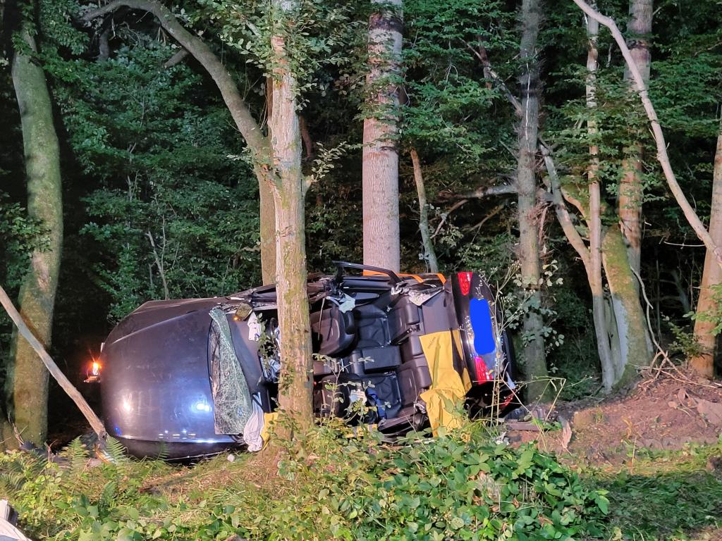 Bei den Insassen des Wagens handelte es sich um zwei Ehepaare. - Foto: Feuerwehr Reinhardshagen/dpa