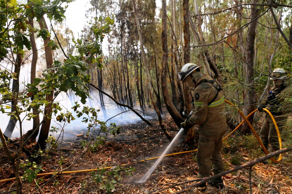 In Portugal gibt es eine leichte Entspannung bei den schweren Waldbränden. Noch aber sind rund 1.400 Feuerwehrleute im Einsatz. - Foto: Xun Wei/XinHua/dpa