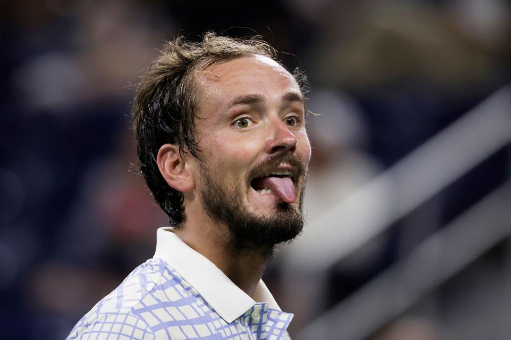 Im Match von Daniil Medwedew kam es zu irren Szenen. - Foto: Adam Hunger/AP/dpa