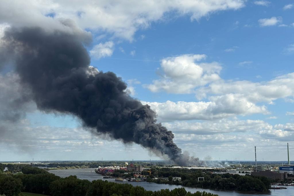 Eine große Rauchwolke ist bei einem Brand in Hamburg über der Stadt zu sehen. - Foto: Daniel Bockwoldt/dpa