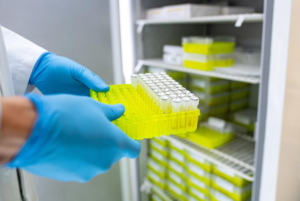 Ehec steht für enterohämorrhagische Escherichia coli und bezeichnet bestimmte krankmachende Stämme dieses im Darm vorkommenden Bakteriums. - Foto: Guido Kirchner/dpa