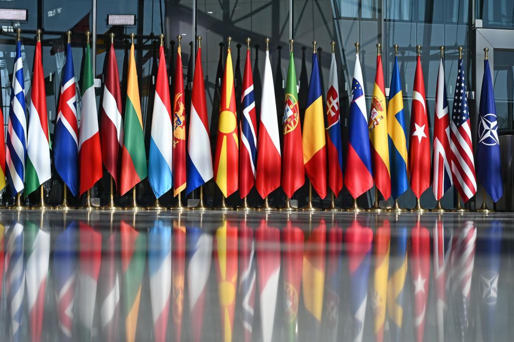 Unter dem Druck der USA erhöhen die europäischen Nato-Staaten und Kanada ihre Verteidigungsausgaben. Der Zuwachs wird aber schon wieder schwächer. (Archivbild) - Foto: Anna Ross/dpa