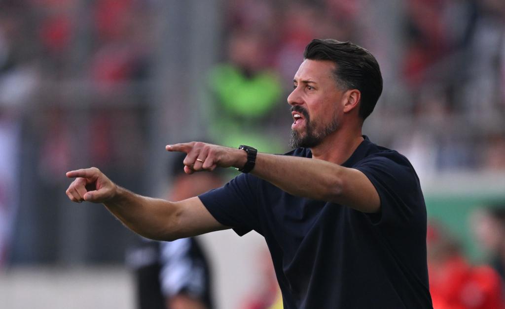 Feiert am Samstag seine Heimpremiere als Augsburg-Trainer: Sandro Wagner. (Archivbild) - Foto: Hendrik Schmidt/dpa