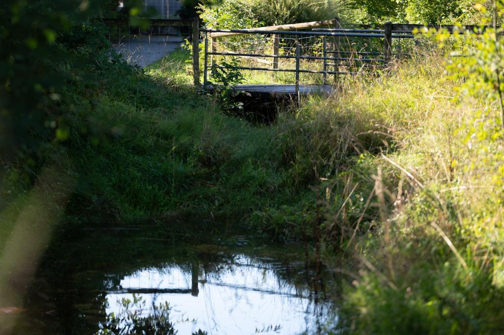 Unter der Brücke hatten Anwohner schon früh den Geruch mitbekommen. - Foto: Markus Lenhardt/dpa
