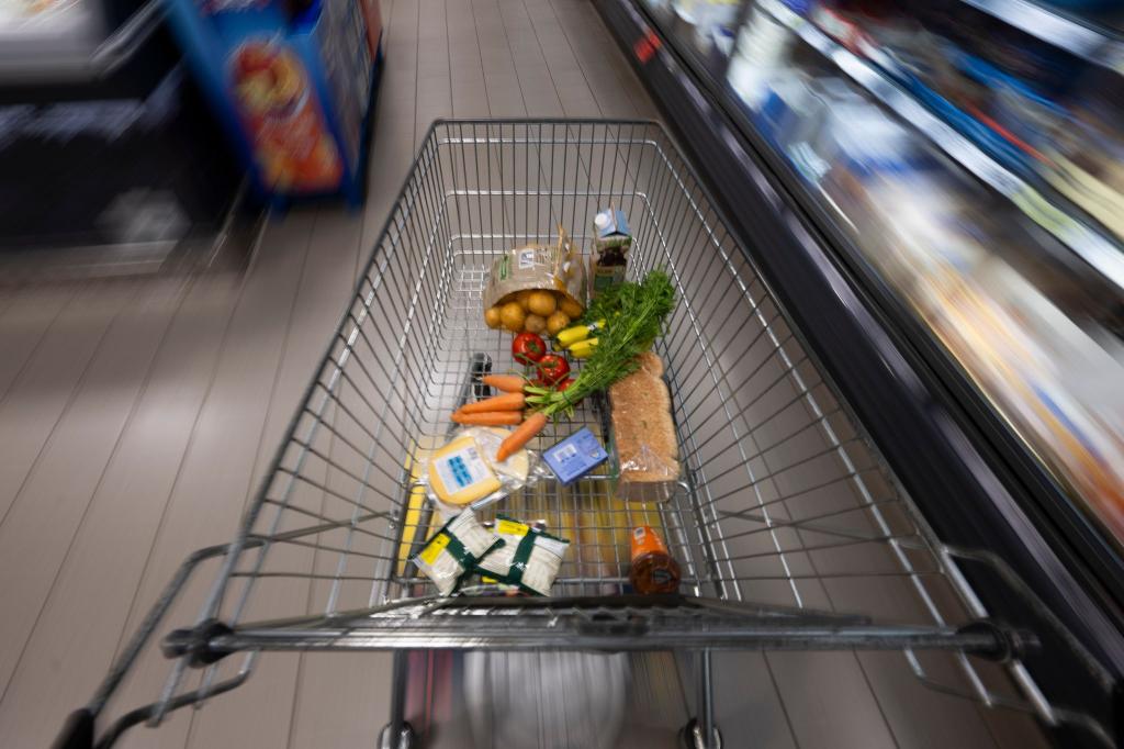 Der tägliche Einkauf ist bei vielen Verbrauchern teurer als vor einem Jahr. (Symbolbild) - Foto: Philip Dulian/dpa