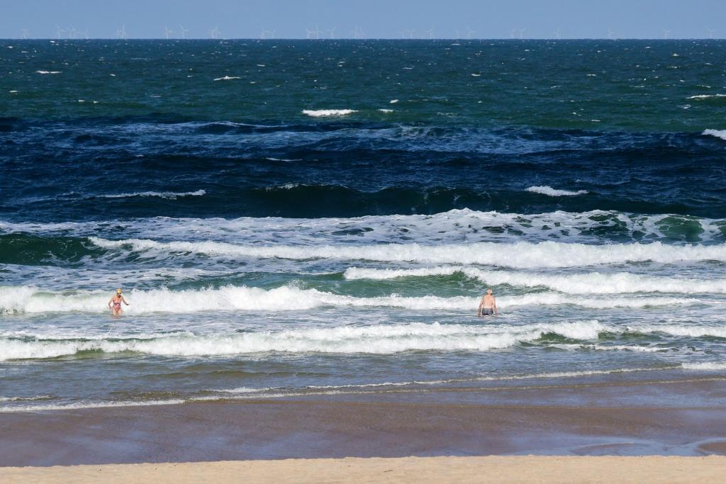 Nicht nur die Durchschnittstemperaturen von Nord- und Ostsee nehmen zu, auch marine Hitzewellen kommen häufiger vor. (Symbolbild) - Foto: Frank Molter/dpa