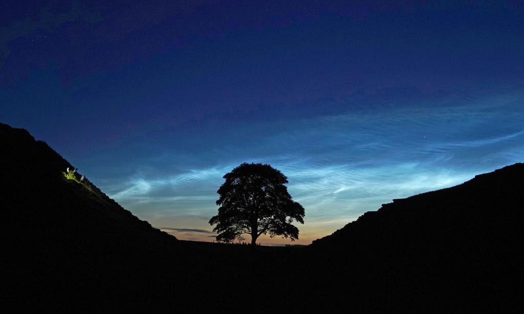 Der Sycamore Gap Tree in England war einst ein beliebtes Fotomotiv. (Archivfoto) - Foto: Owen Humphreys/PA Wire/dpa