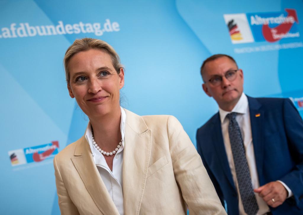 «An der AfD wird man nicht mehr vorbeiregieren können», meint Alice Weidel. (Archivfoto) - Foto: Michael Kappeler/dpa