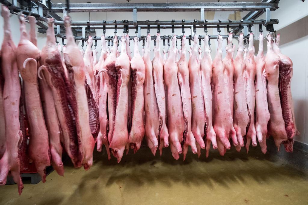 China erschwert mit Zöllen den Import von Schweinefleisch aus der EU. (Symbolbild) - Foto: Christian Charisius/dpa