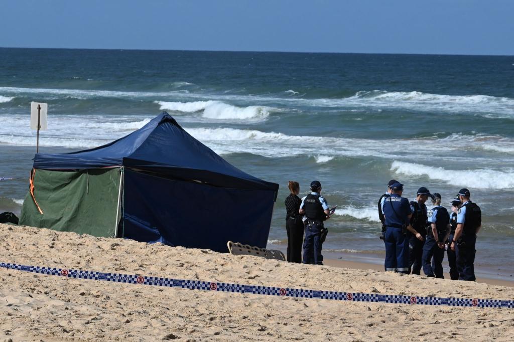 Bissspuren deuten darauf hin, dass der Surfer Opfer eines Weißen Hais wurde. - Foto: Dean Lewins/AAP/dpa