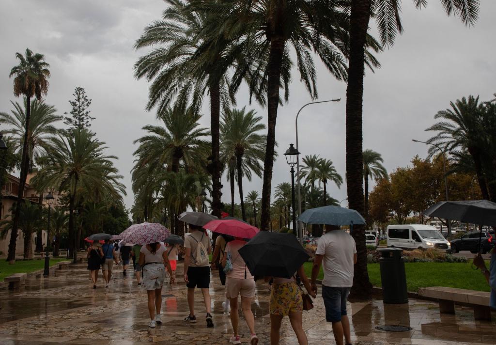 Kein Urlaubswetter auf Mallorca. - Foto: Clara Margais/dpa