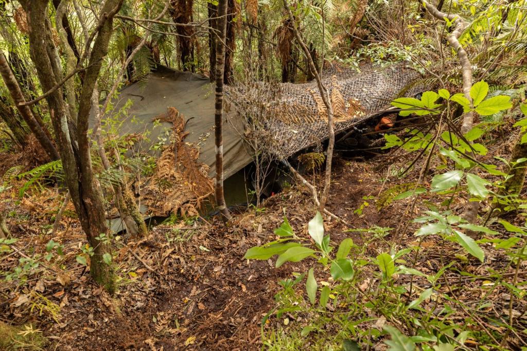 Das Hauptlager wurde in einem dichten Wald auf der Nordinsel entdeckt. - Foto: NZ Police/dpa