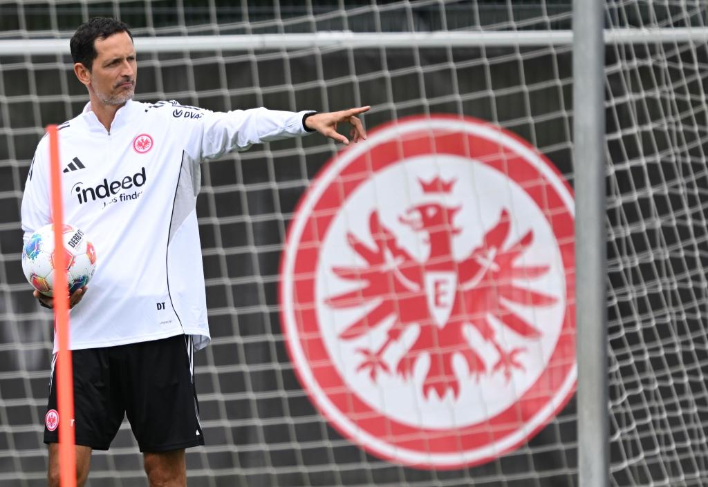 Verfolgt mit der Eintracht in dieser Saison hohe Ziele: Trainer Dino Toppmöller. - Foto: Arne Dedert/dpa