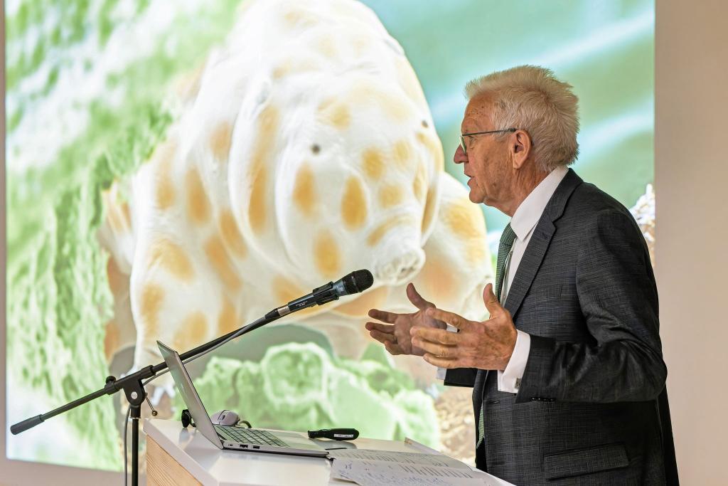 Winzig und doch bärenstark: Die neu entdeckte Bärtierchenart «Ramazzottius kretschmanni». - Foto: Philipp von Ditfurth/dpa