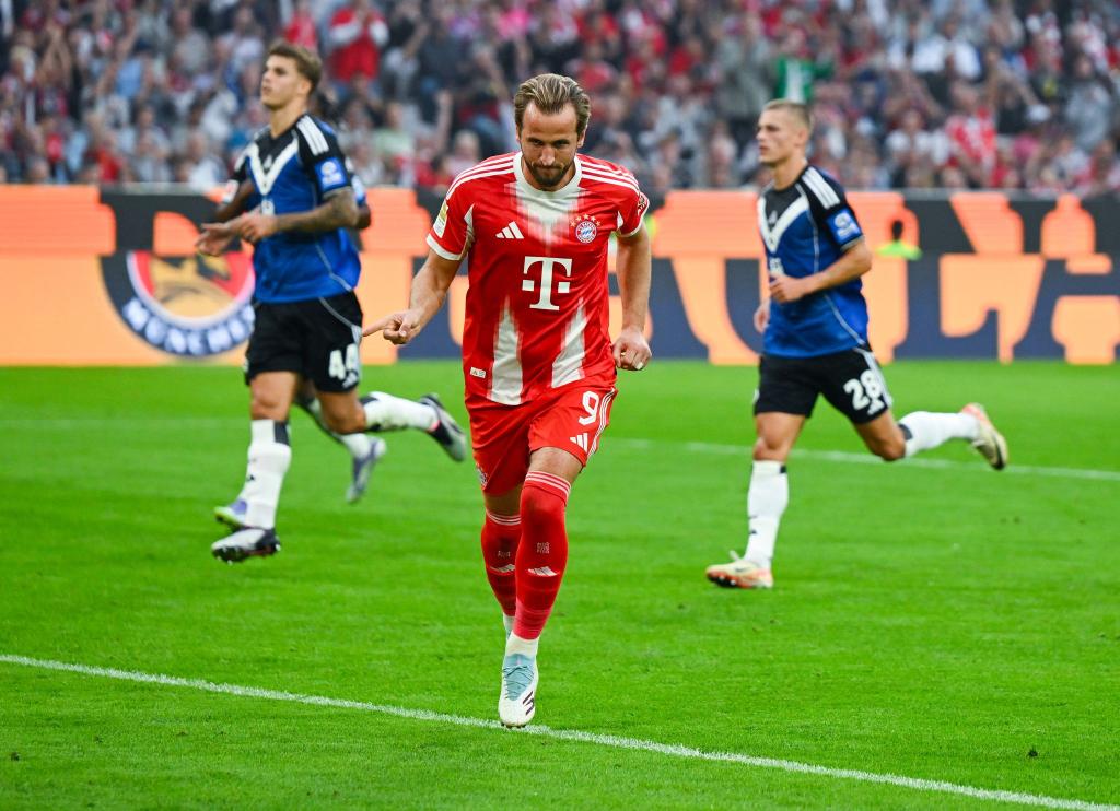 Harry Kane traf auch gegen den HSV. - Foto: Sven Hoppe/dpa