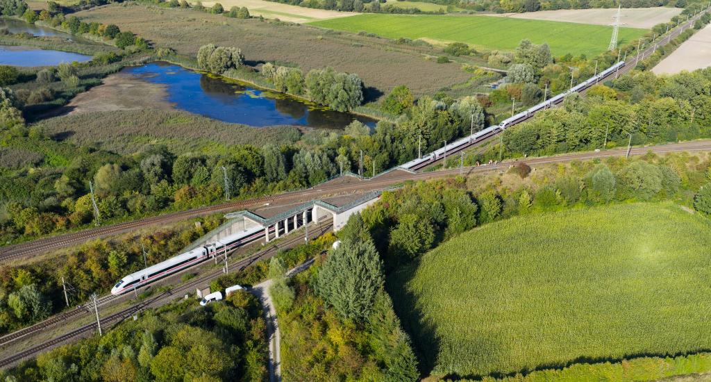 Auf der Bahnstrecke zwischen Hannover und Berlin kommt es zu Verspätungen und Zugausfällen. - Foto: Julian Stratenschulte/dpa