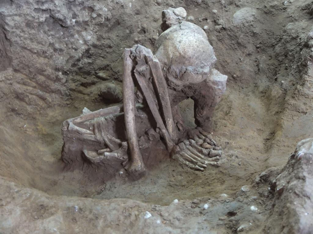 Dieser Fund soll älter als 9.000 Jahre sein. - Foto: Yousuke Kaifu;Hirofumi Matsumura/dpa