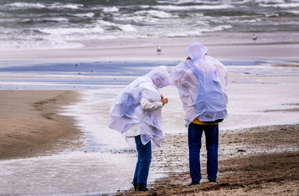 Sturmböen sorgen in Norddeutschland für einzelne Sperrungen und Ausfälle – größere Schäden bleiben aus. - Foto: Jens Büttner/dpa