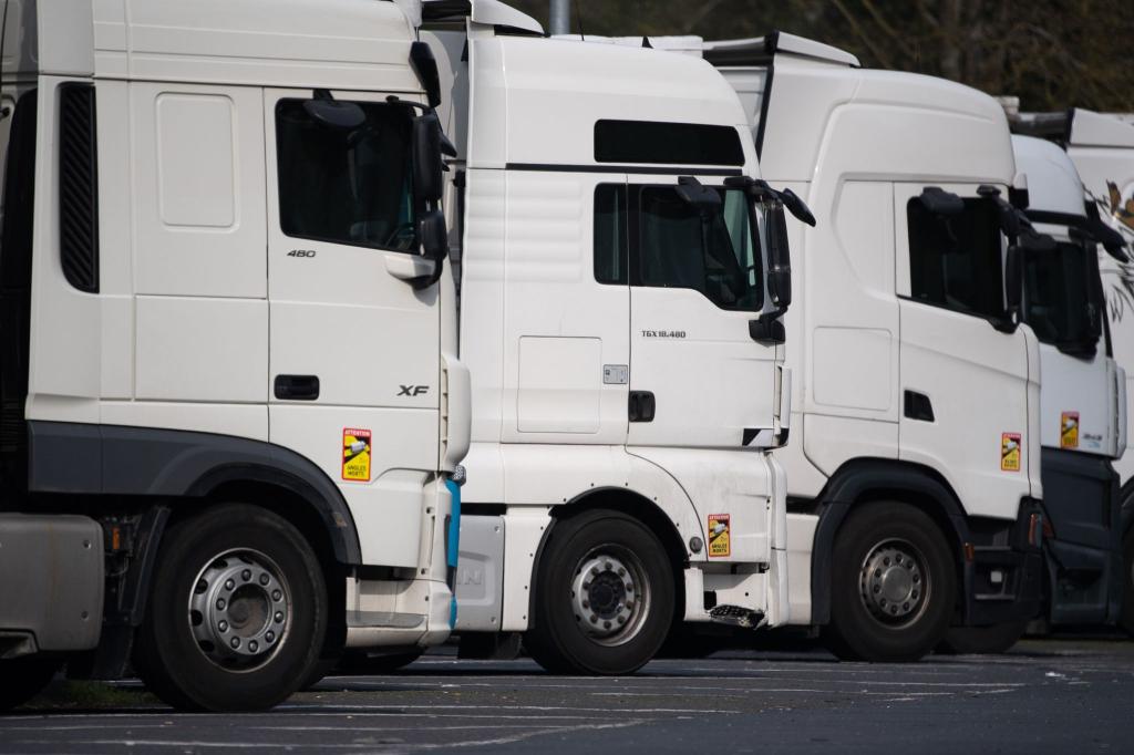 In Deutschland wächst seit Jahren der Bestand an Nutzfahrzeugen und Lastwagen. (Symbolbild) - Foto: Sebastian Gollnow/dpa