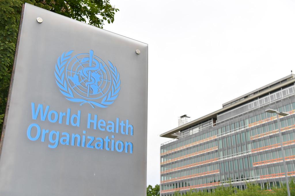 Die Gesundheitsvorschriften sollen die Pandemievorbereitung stärken. (Symbolbild) - Foto: Lian Yi/Xinhua/dpa