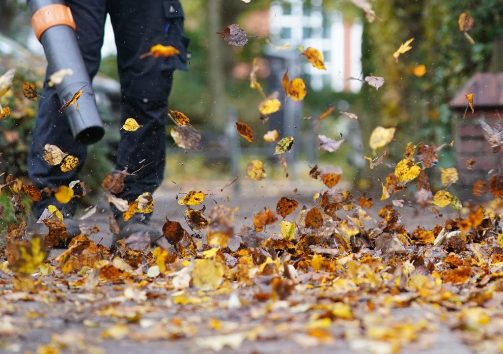 Zürich will den Einsatz nur noch von Oktober bis Dezember erlauben. (Symbolfoto) - Foto: Marcus Brandt/dpa/dpa-tmn