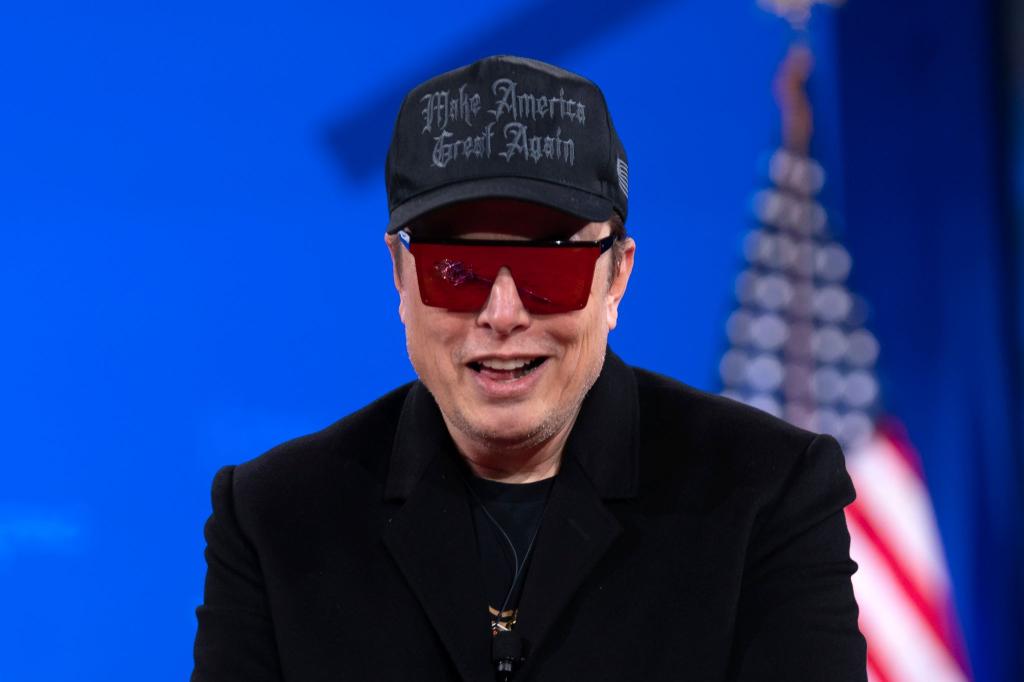 Tech-Milliardär Elon Musk hat die Wikipedia schon lange im Visier. (Archivbild) - Foto: Jose Luis Magana/AP/dpa