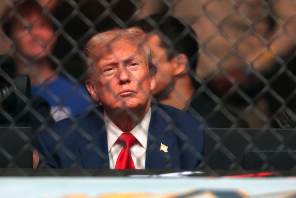 Trump gilt als Fan der Kampfsport-Liga UFC und saß mehrfach selbst im Publikum. (Archivbild) - Foto: Steve Marcus/Las Vegas Sun via AP/dpa