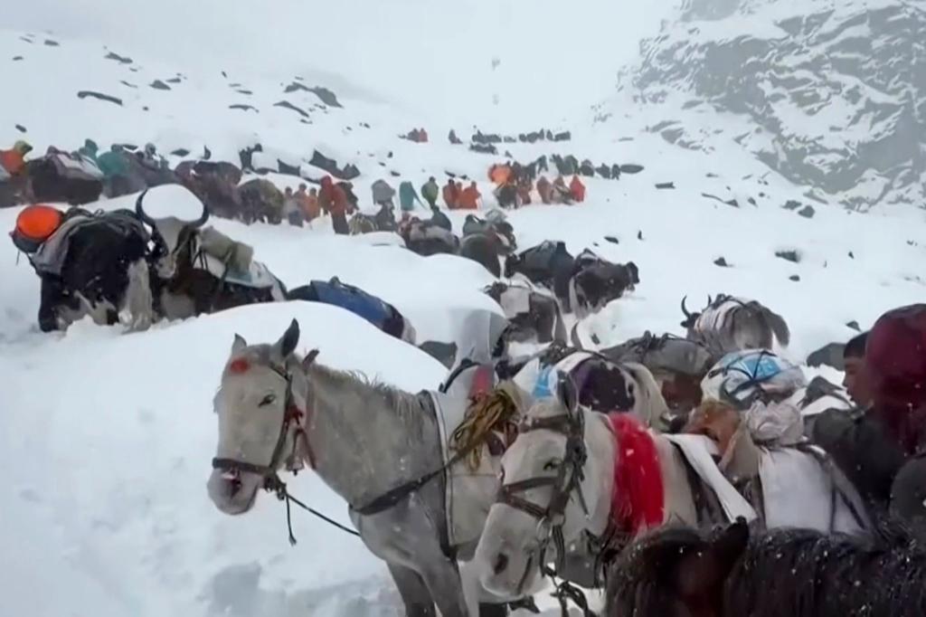 Dorfbewohner stiegen mit Pferden und Ochsen auf den Mount Everest, um zu den Wanderern zu gelangen. (Archivbild) - Foto: Lingsuiye/Xinhua/dpa