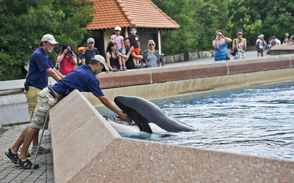 Der inzwischen geschlossene Freizeitpark in Kanada warnt, er müsse womöglich seine Tiere einschläfern. (Archivbild) - Foto: Randy Risling/Toronto Star/Zuma Press/dpa