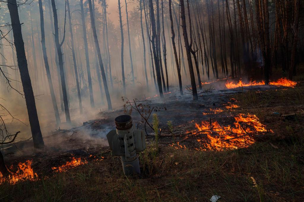 Waldbrände in der Ukraine, die viel Treibhausgase freisetzen, werden oft durch Gefechte ausgelöst. (Archivbild) - Foto: Evgeniy Maloletka/AP/dpa
