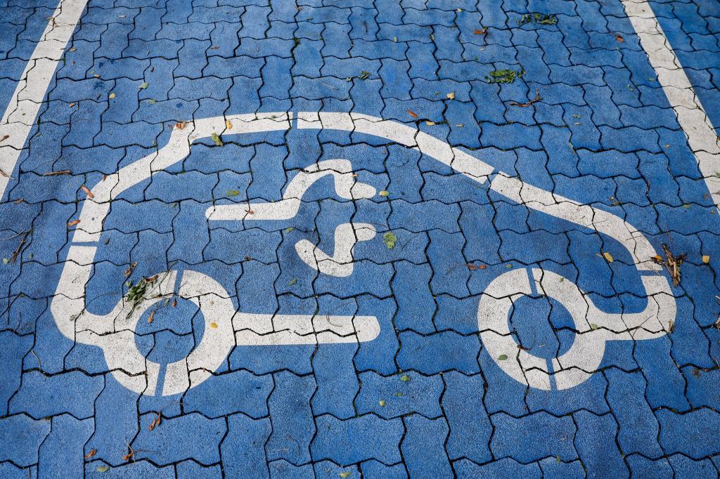 Bei Elektroautos haben deutsche Hersteller und ihre Töchter den Heimatmarkt fest im Griff. (Symbolbild) - Foto: Jan Woitas/dpa