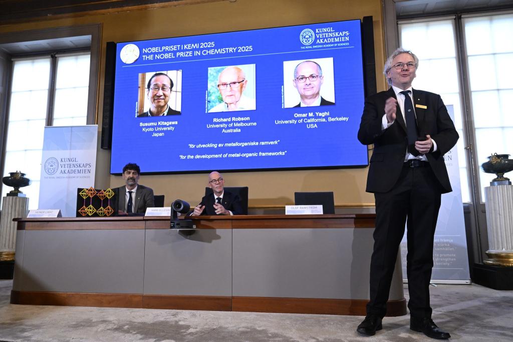 Mit ihrer Forscher legten die Chemiker die Basis für viele mögliche Problemlösungen. - Foto: Fredrik Sandberg/TT News Agency/AP/dpa