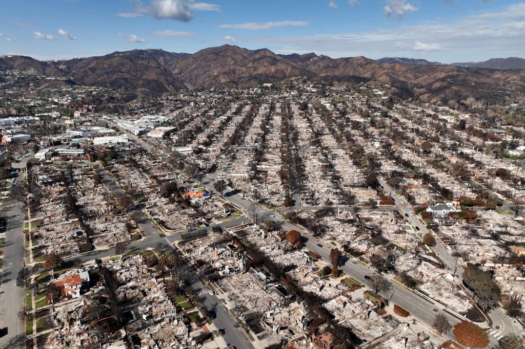 Im Januar hatten verheerende Brände ganze Viertel von Los Angeles verwüstet. (Archivbild) - Foto: Jae C. Hong/AP/dpa