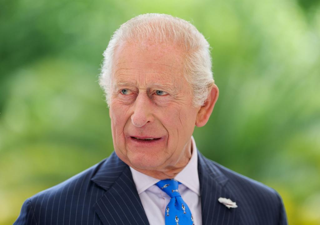 Eine Doku widmet sich dem Engagement von König Charles. (Archivbild) - Foto: Chris Jackson/PA Wire/dpa