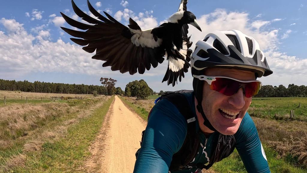 Radfahrer Shane Miller testet einen «PieProof»-Helm gegen Magpie-Angriffe. - Foto: Shane Miller/GPLama/dpa