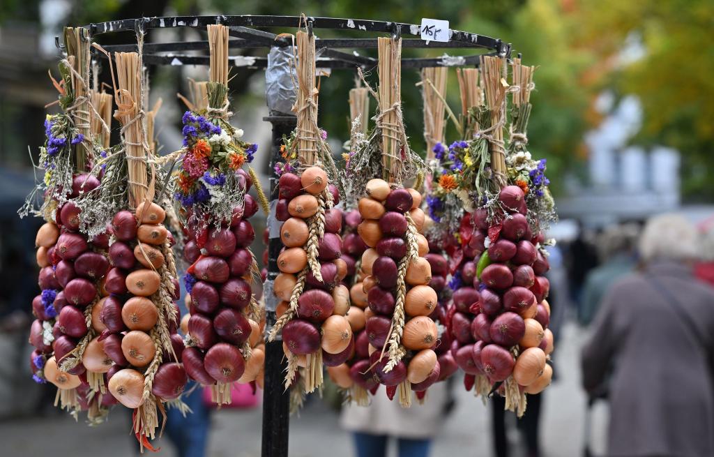 Die traditionellen Zwiebelzöpfe hängen zum Verkauf auf dem Zwiebelmarkt in Weimar. - Foto: Martin Schutt/dpa