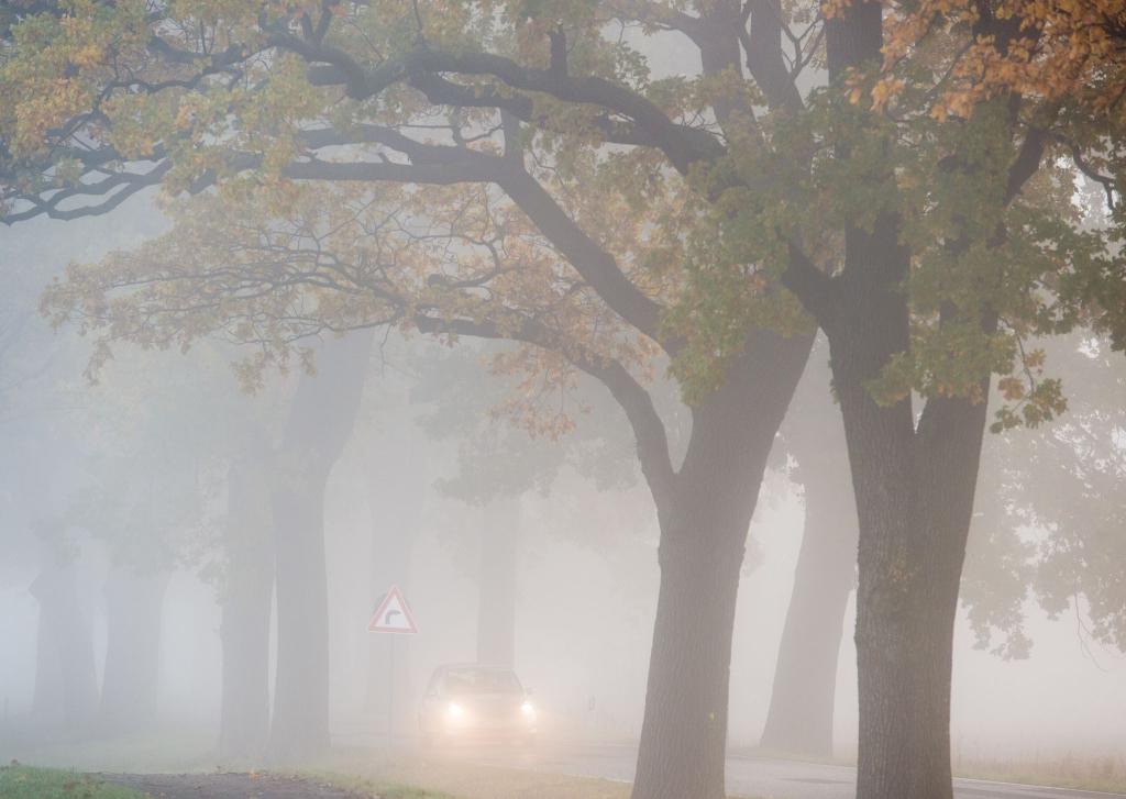 In den allermeisten Ecken Deutschlands bleibt es auch in den kommenden Tagen weitgehend trüb, etwas Hoffnung auf Sonne gibt es für den Südwesten. - Foto: Patrick Pleul/dpa/dpa-tmn