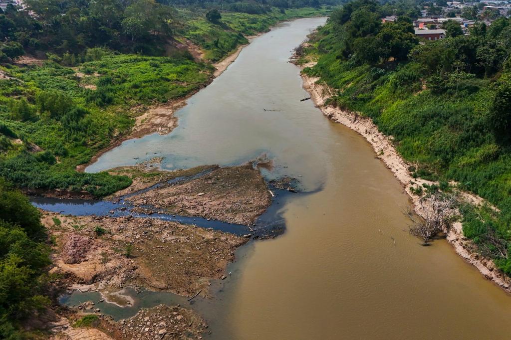 Der Amazonas gehört zu den gefährdeten Systemen. - Foto: Marcos Vicentti/AP
