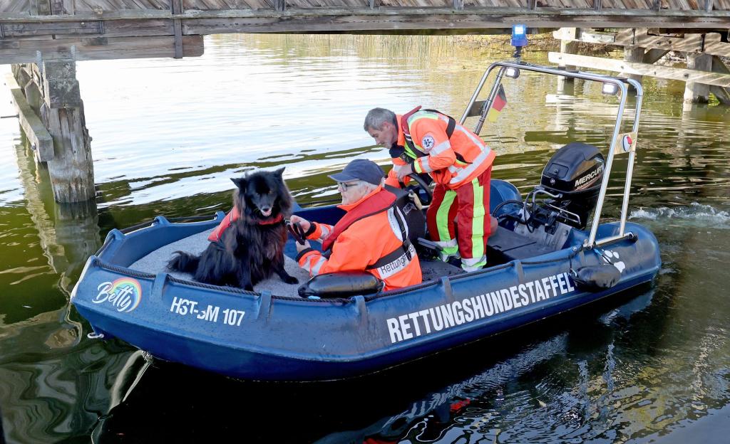 Spürhunde haben laut Polizei auf dem Inselsee am Stadtrand von Güstrow angeschlagen. Am Dienstagmorgen sollen Taucher in dem Bereich zum Einsatz kommen. - Foto: Bernd Wüstneck/dpa
