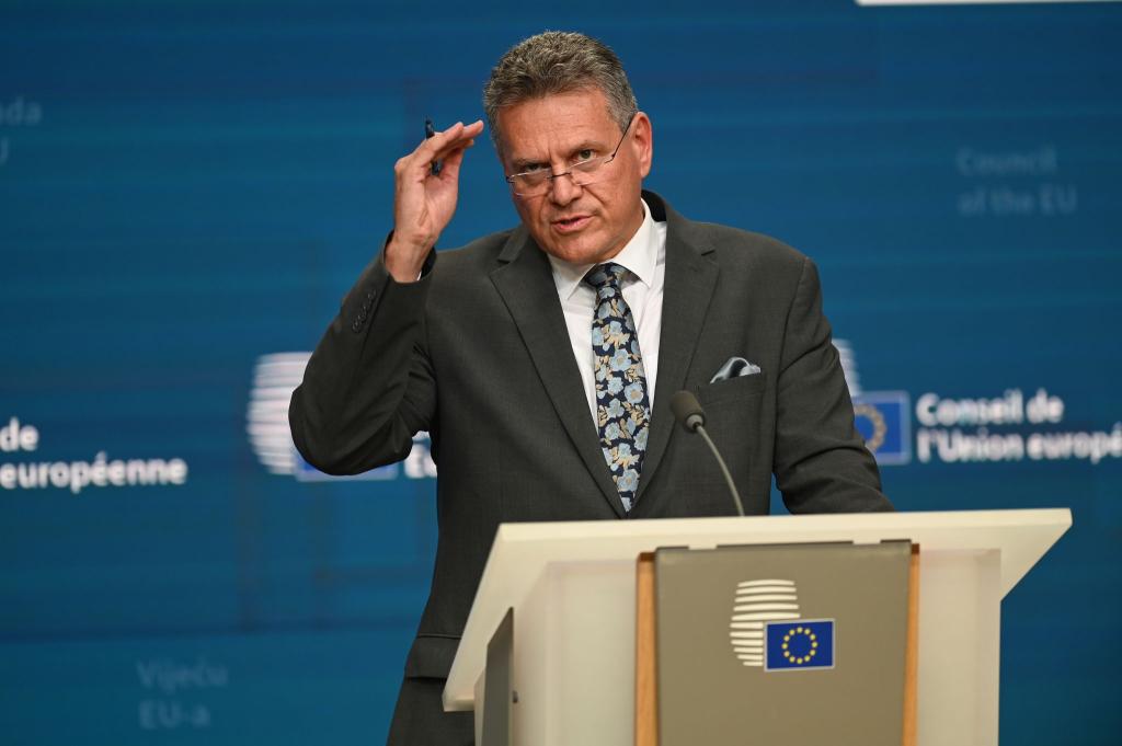 Bekommt wegen Chinas Kurs besorgte Anrufe aus der Autoindustrie: EU-Handelskommissar Maros Sefcovic. (Archivbild) - Foto: Ansgaar Haase/dpa