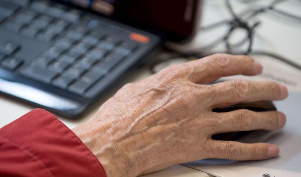 Wer auch im Alter arbeitet, soll bis zu 2.000 Euro steuerfrei verdienen können. (Symbolbild) - Foto: Tim Brakemeier/dpa
