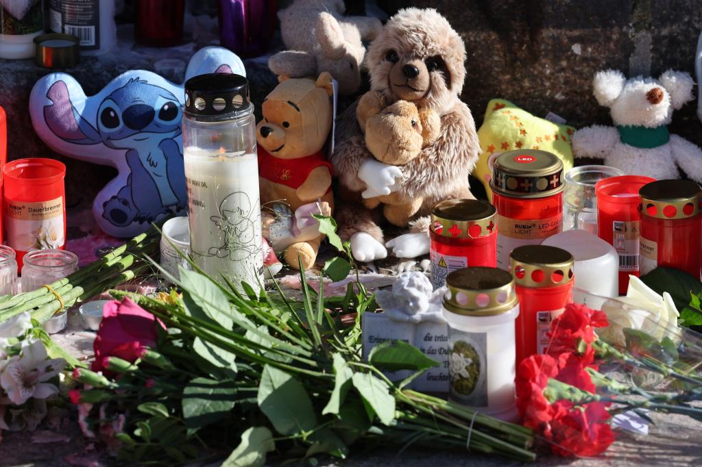 Der Fund einer Kinderleiche nahe Güstrow erschüttert die Region. - Foto: Bernd Wüstneck/dpa