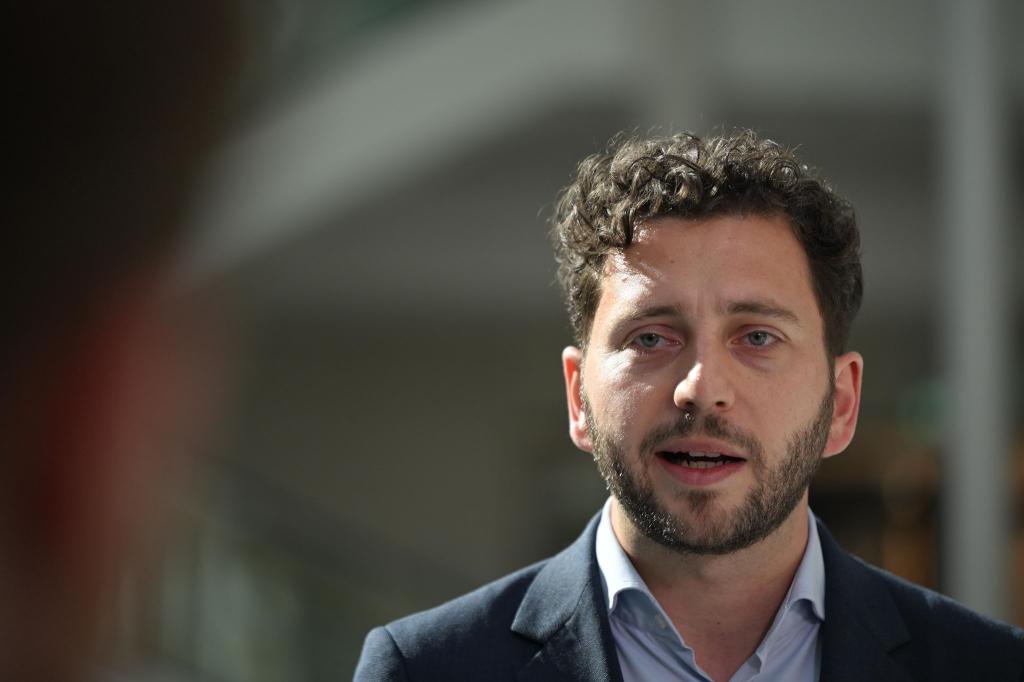 Grünen-Chef Felix Banaszak übte heftige Kritik. (Archivfoto) - Foto: Shireen Broszies/dpa
