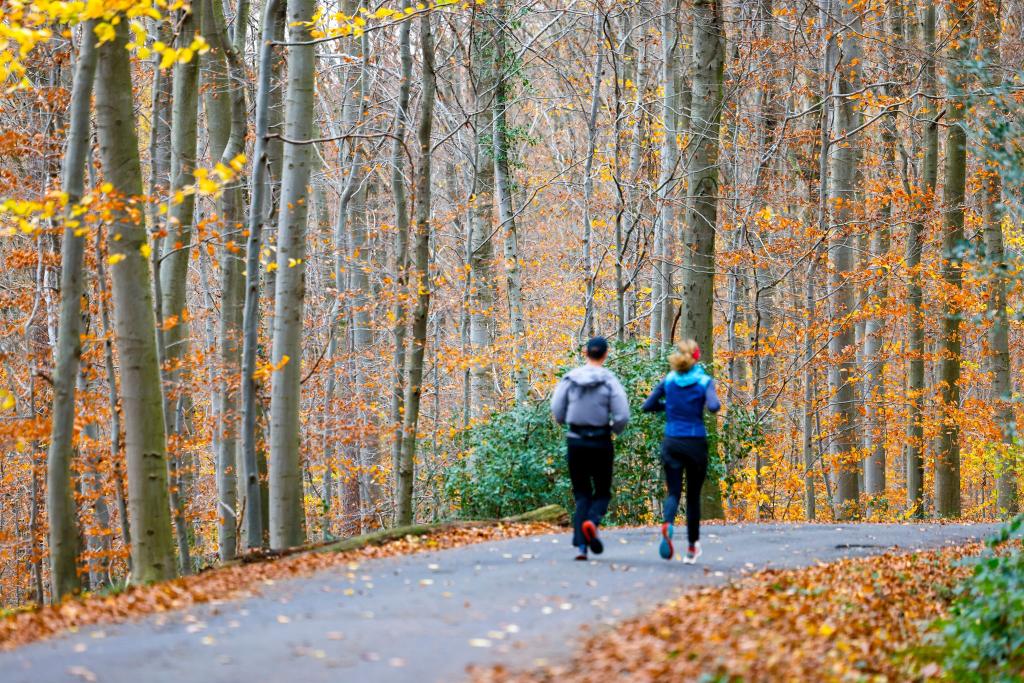 Wenn sich der Nebel lichtet, wird es in vielen Teilen Deutschlands sonnig. - Foto: Thomas Banneyer/dpa