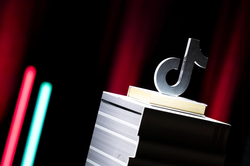 Die Tiktok Book Awards wurden vergeben. - Foto: Hannes P. Albert/dpa