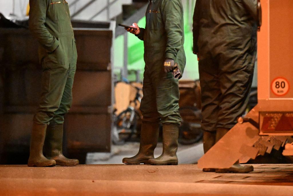 Nach dem Ausbruch der Vogelgrippe in Baden-Württemberg müssen in einem Geflügelbetrieb im Alb-Donau-Kreis südöstlich von Stuttgart rund 15.000 Tiere getötet werden. - Foto: -/onw-images/dpa