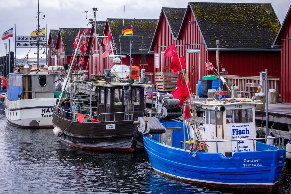 Trotz Sorgen um Dorsch und Hering: Für die deutschen Ostsee-Fischer bleibt fast alles beim Alten. (Symbolbild) - Foto: Jens Büttner/dpa