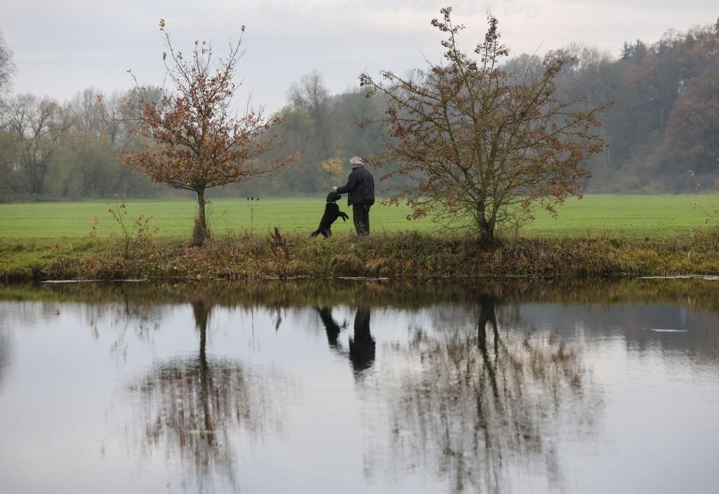Mit dem Hund an der Donau spielen. - Foto: Thomas Warnack/dpa